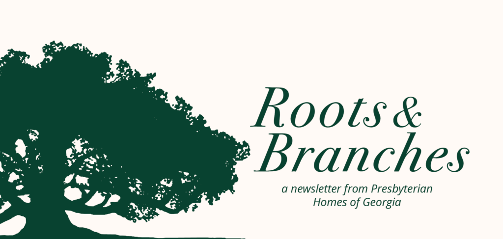 Beige newsletter header with a large dark-green tree silhouette on the left and the elegant title 'Roots & Branches' on the right.