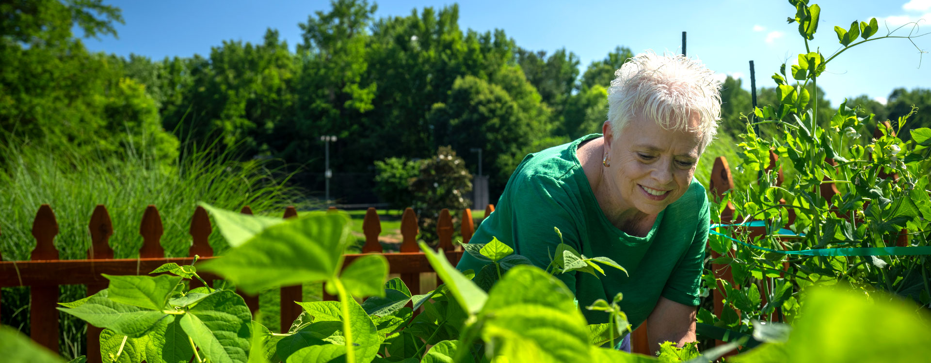 A senior woman gardens in Cobb County, Georgia at a senior living community.